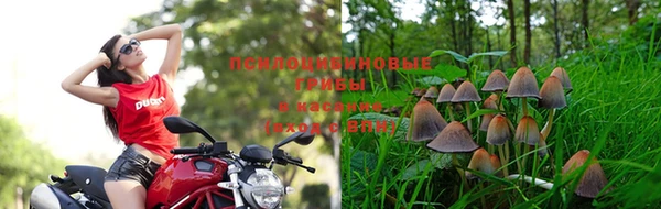 меф Алексин