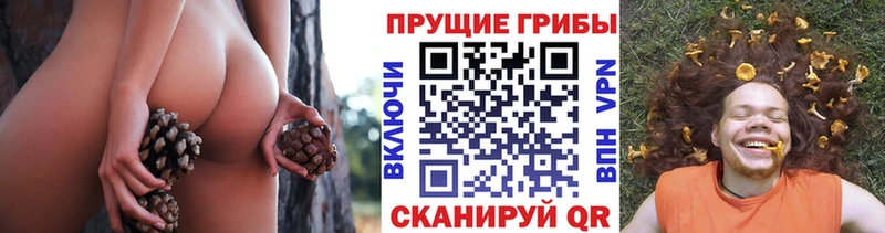 Галлюциногенные грибы MAGIC MUSHROOMS  ссылка на мегу как зайти  Козловка 